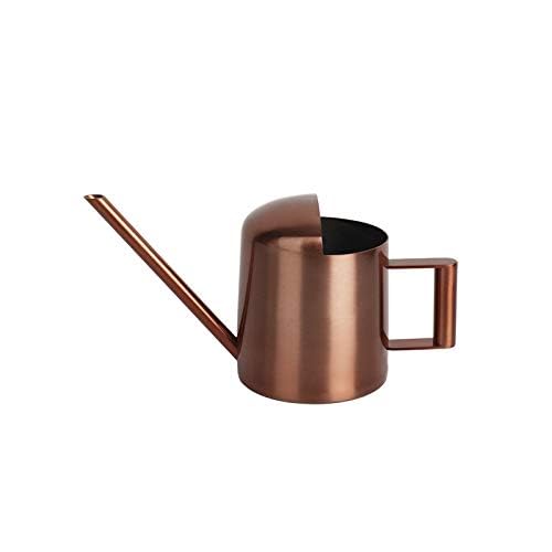 Mini Watering Can, 10oz/300ml Stainless Steel Long Spout Small Watering Can for Indoor Plants Succulents, Herbs (Bronze) - color: Copper