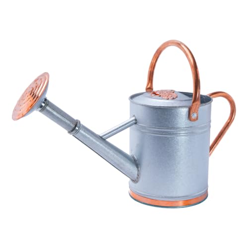 1 Gallon Outdoor Metal Watering Can with Real Copper Details - color: Stardust & Vermilion