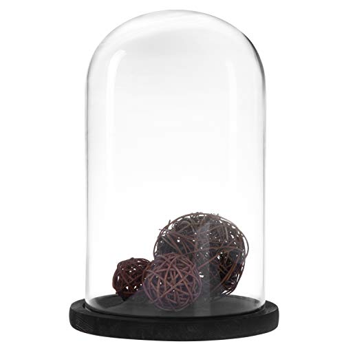 MyGift Bell Jar Glass Cloche Black Wood Base 10 Inch Display Dome - color: Black