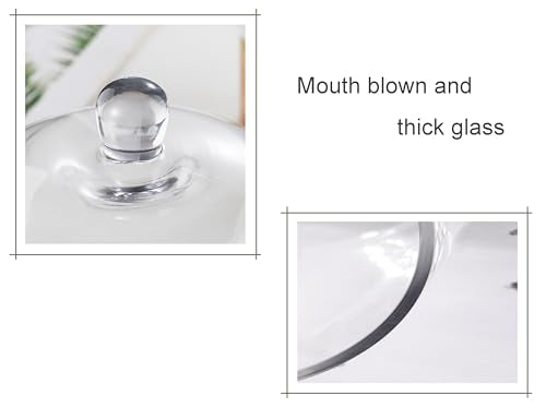 Twakutwku 12" Tall Large Sturdy Handmade Glass Cloche Dome with Metal Base in Shabby White for Plant, Terrarium, Collectibles, Candle. Cloche Glass Dome, Bell Jar Display Case (Shabby White, 12") - color: Shabby White, size: 12"