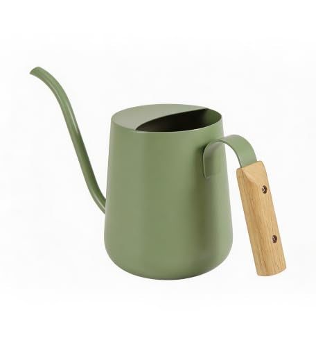 Baffect Watering Can Indoor Plants with Long Spout, 1L / 35oz (Sage Green) - color: Sage Green