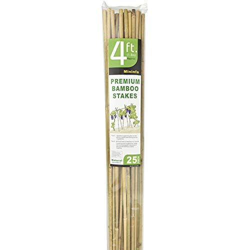 Mininfa Natural Bamboo Stakes 4 Feet, Eco-Friendly Garden Stakes, Plant Stakes Supports Climbing for Tomatoes, Trees, Beans, 25 Pack