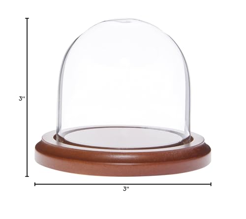 Plymor 3" x 3" Glass Display Dome Cloche (Walnut Base) - color: Walnut Base