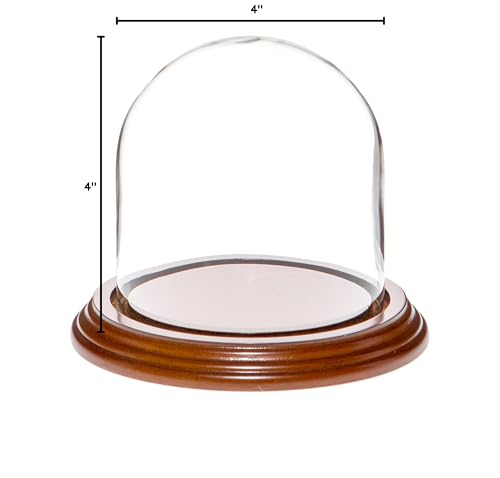 Plymor 4" x 4" Glass Display Dome Cloche (Walnut Veneer Base) - color: Walnut Veneer Base