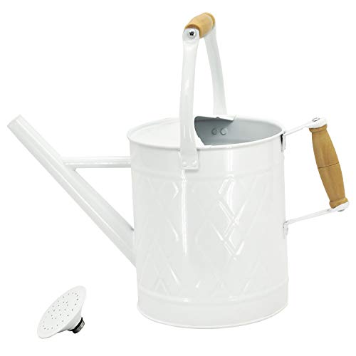 1 Gallon White Metal Watering Can with Wooden Handles - color: White, size: 1 Gallon