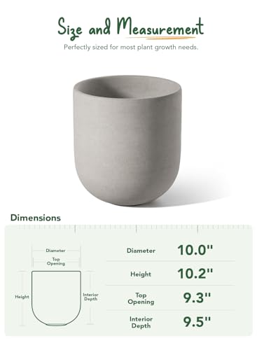 LE TAUCI 10 Inch Plant Pot, Ceramic Pots for Plants, Neutral Gray - color: Neutral Gray, size: 10 Inch