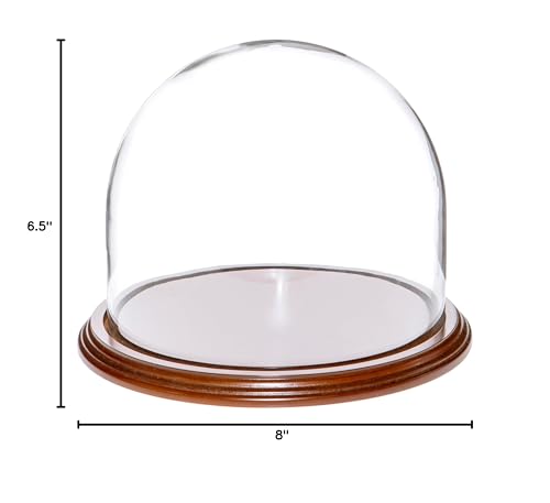 Plymor 8" x 6.5" Glass Display Dome Cloche (Walnut Veneer Base) - color: Walnut Veneer Base