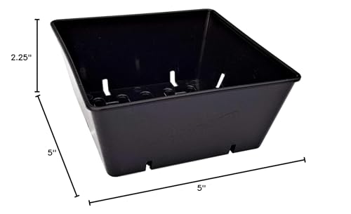 Bootstrap Farmer 5x5 Grow Trays 40 Pack in Black | Extra Strength Inserts for Microgreens & Seed Starting | Heavy Duty Food-Safe Plastic Fits Standard 1020 Flats - color: Black, size: 40 Pack