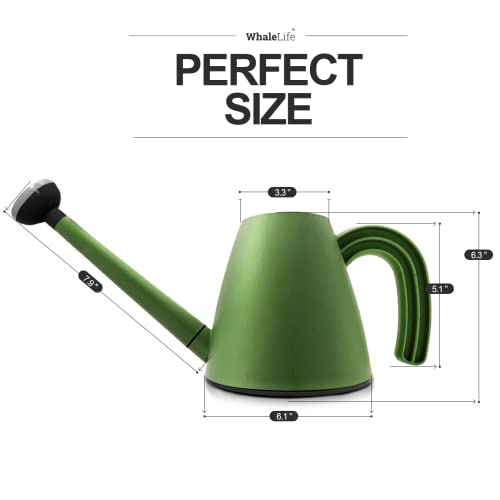 Indoor House Plant Watering Can Small Long Spout Water Pot 2L/67oz (Green) - color: Green