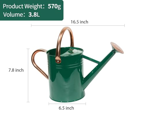 Metal Watering Can 1 Gallon for Outdoor Garden Plants, Green - color: Green With Copper Accents
