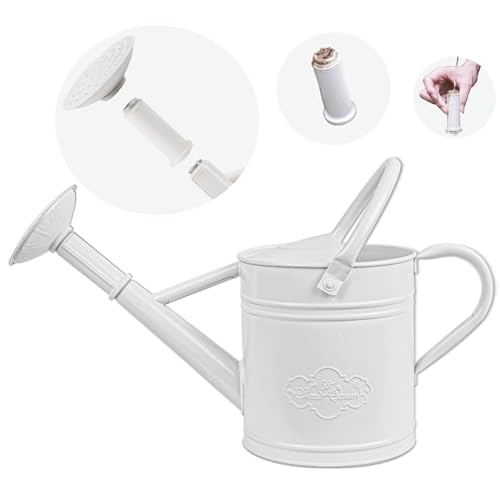 1 Gallon White Metal Watering Can with Removable Watering Rose