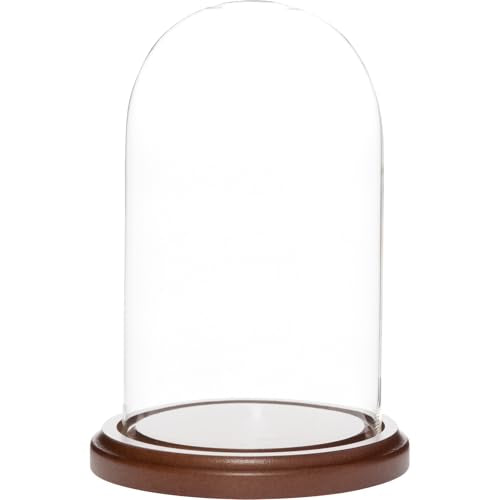 Plymor 4 inch x 7 inch Glass Display Dome Cloche (Dark Wood Base) - color: Dark Wood Base