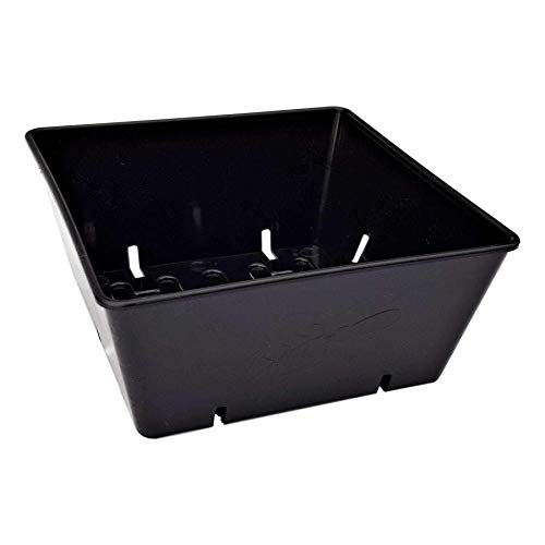 Bootstrap Farmer 5x5 Grow Trays 40 Pack in Black | Extra Strength Inserts for Microgreens & Seed Starting | Heavy Duty Food-Safe Plastic Fits Standard 1020 Flats - color: Black, size: 40 Pack