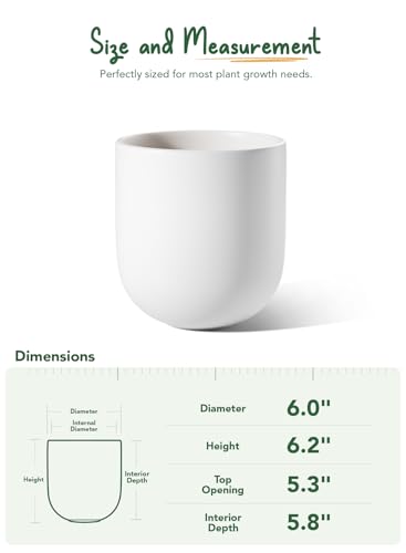 LE TAUCI 6 Inch Ceramic Plant Pot, Small Indoor Planter, White - color: White, size: 6 Inch