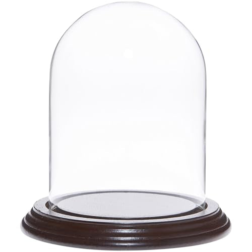 Plymor 4" x 5.25" Glass Display Dome Cloche (Dark Mahogany Veneer Base) - color: Dark Mahogany Veneer Base