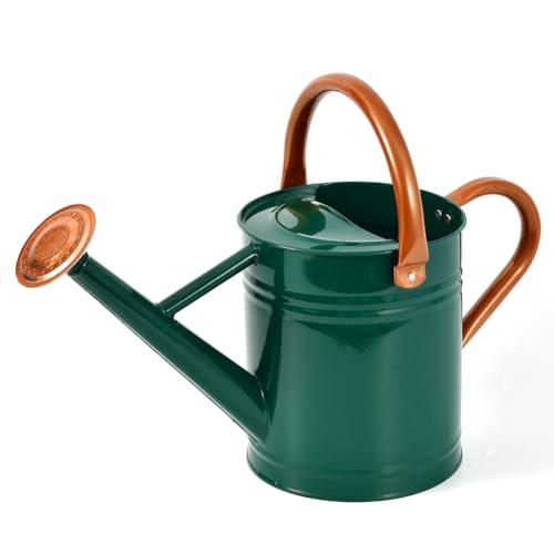 Metal Watering Can 1 Gallon for Outdoor Garden Plants, Green - color: Green With Copper Accents