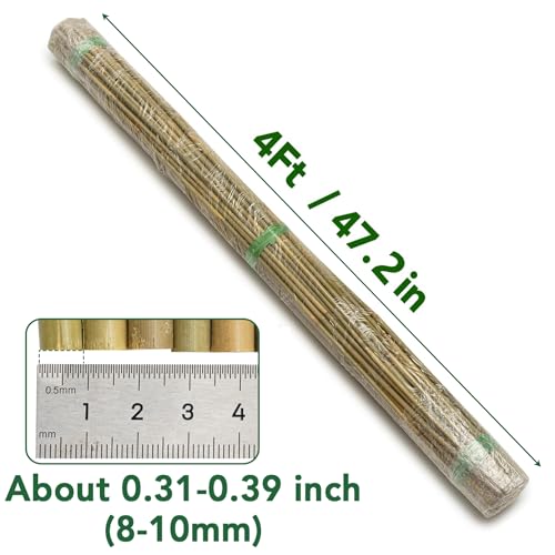 65 Pcs Bamboo Plant Stakes 4 Feet, Oltara Natural Bamboo Sticks Garden Stakes for Climbing Plants Support, Bamboo Poles,Potted Plants, Tomatoes, Beans, Flowers, Trees - size: 4 Feet-65 Pack