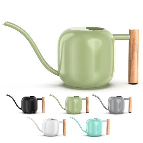 Green Moon 1.2L/41oz Metal Metal Watering Can with Long Spout, Sage Green - color: Sage Green
