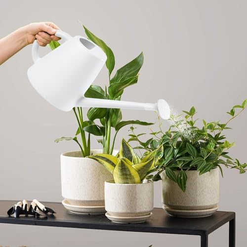 Indoor and Outdoor Watering Can - Long Spout -1/2 Gallon (64oz) - White - color: White