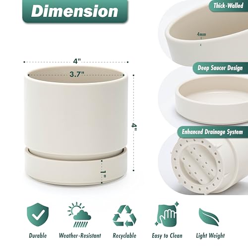 Phoenix Vine 4 Inch Planter Pot with Drainage Hole & Saucer, Deep Water Catch Tray, Straight Cylindrical Round Pot for Plants, Oatmeal, Pack of 6, 23-E-R-6 - color: Oatmeal, size: 4" (6 Pack)