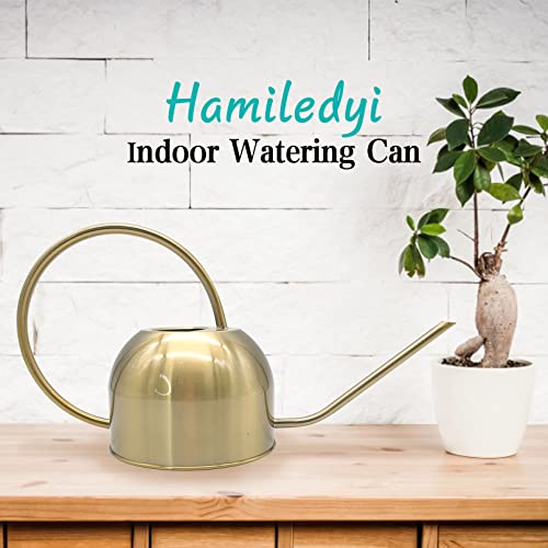 Hamiledyi 50 oz/1500 ml Stainless Steel Watering Can with Long Spout - color: Golden