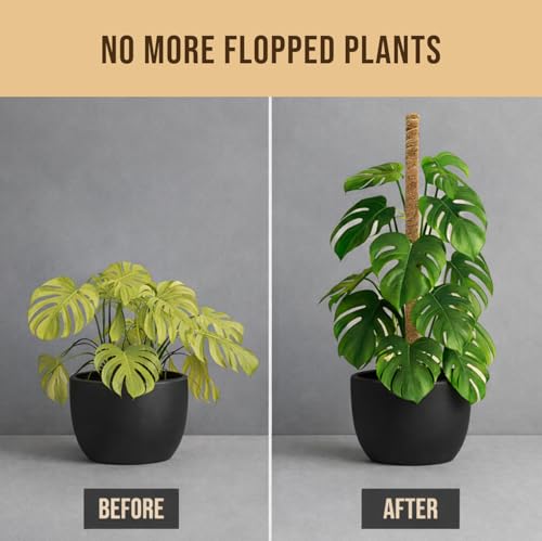 Craft911 29" Moss Pole Monstera Plant Support, Indoor Plant Stakes - size: 2-Pack (29 in)