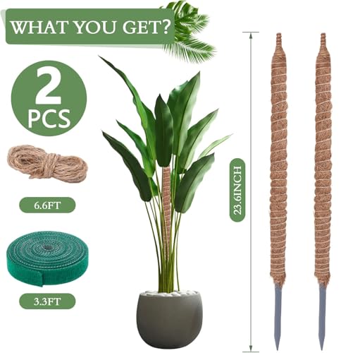 2 Pack 24 Inch Coco Coir Moss Poles for Climbing Indoor Plants - Handmade Plant Support for Creepers to Grow Upwards