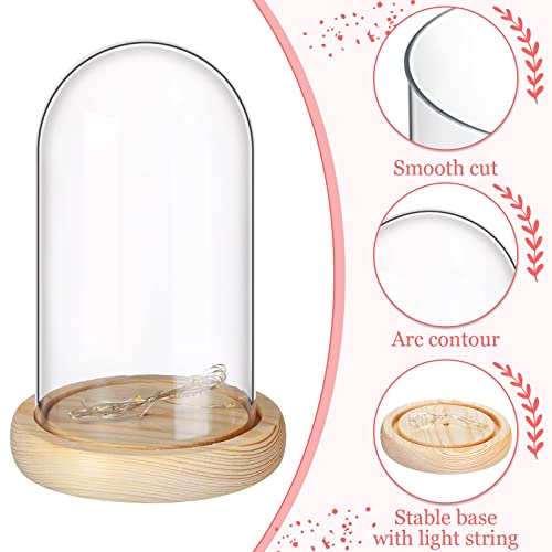 Remerry 6 Pcs Plastic Cloche Dome Display with Base and LED Light