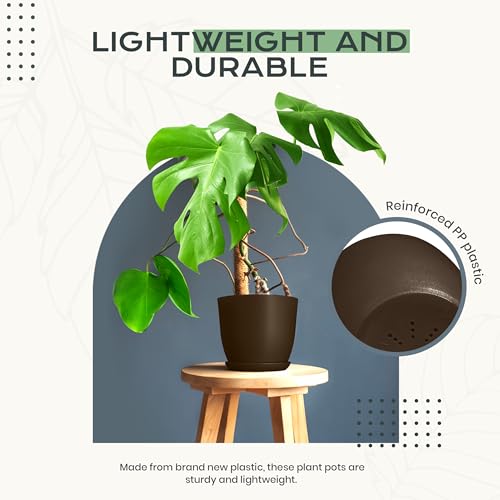 Plant Pots Indoor with Drainage, 10 Pack Multi-Size Planters Set, Brown - color: Brown, size: Pack of 10