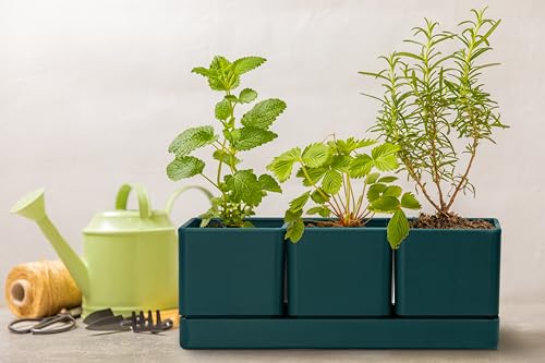 D'vine Dev Plastic Herb Garden Planter Set, Green, 76-V-C-1 - color: Green, size: 12"