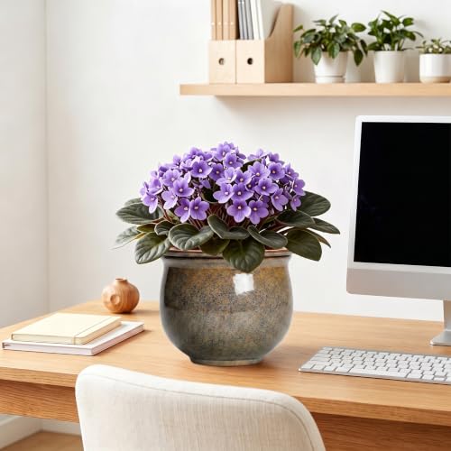 Ceramic Self Watering Pots, 8 Inch Ceramic Planter, Yellowish Brown - color: Yellowish Brown, size: 8 Inch