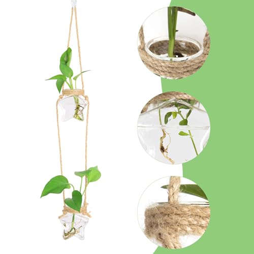 XXXFLOWER 2 Tiers Star Shaped Glass Vase Wall Hanging Propagation Station - size: 2 Star Vases