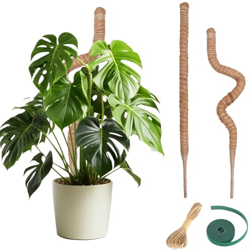 Moss Pole Monstera Plant Support 2 Pack 28 Inch Bendable Moss Pole for Monstera Plants Indoor Handmade Coco Coir Pole Plant Sticks Support Stakes for Potted Plants Philodendron to Grow Upwards - size: 28" with jute rope and straps