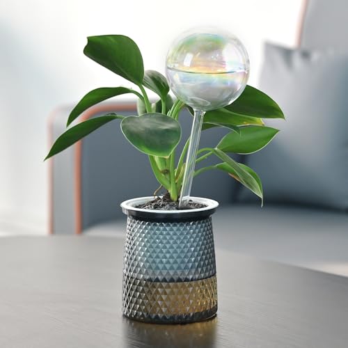 13oz Large Self Watering Globes,Glass Automatic Plant Waterer,Up to 2 Weeks - size: Extra Large 4-Pack