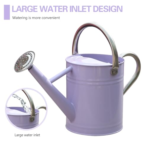 Metal Watering Can 1 Gallon for Outdoor Garden Plants,Purple - color: Purple With Stainless Steel Handle