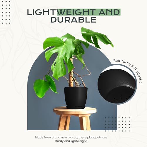 Plant Pots Indoor with Drainage, 10 Pack Multi-Size Planters Set, Black - color: Black, size: Pack of 10