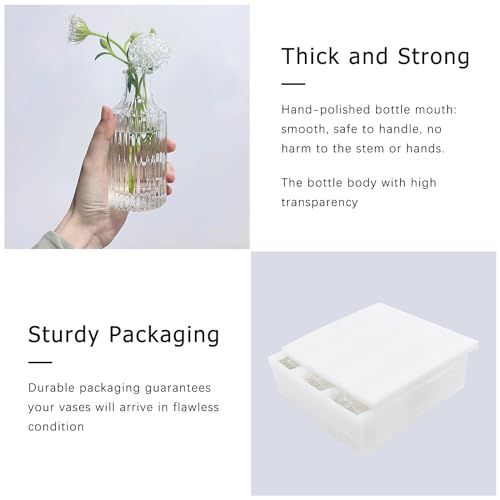 SUPMIND 5pcs Glass Bud Vase Set, Clear Small Flower Vases for Centerpieces - color: Clear, size: 5Pcs