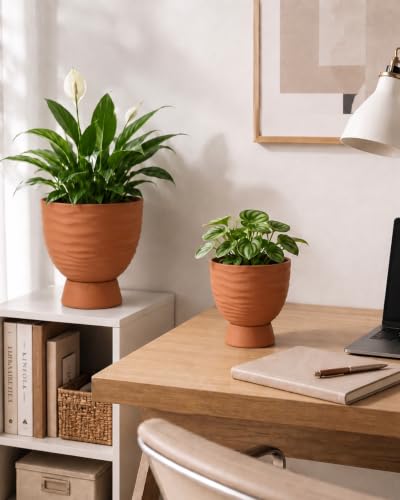 vensovo Terracotta Self Watering Plant Pots, 6 and 8 Inch with Saucers - color: Terracotta