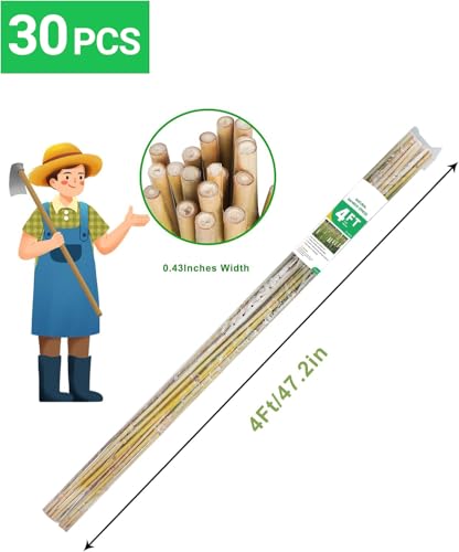 Natural Bamboo Plant Stake, (4FT 30Pcs) Sturdy Bamboo Poles, Durable Plant Bamboo Stake, Garden Climbing Plant Bracket. - size: 4ft-30PCS