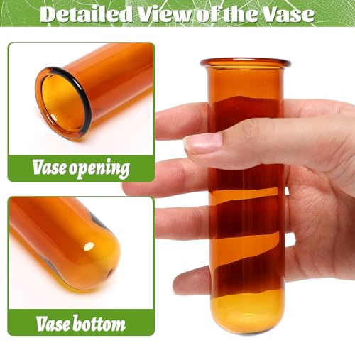 Glass Plant Propagation Station with 5 Test Tubes Colorful Planter Vase - color: Color-01