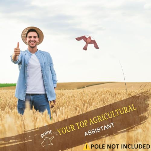 Bird Scarer Kite Without Pole Bird Hawk Flying Kite-Style A - color: style A-no pole
