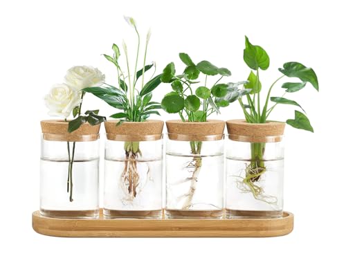 Dahey Plant Propagation Stations, 4 Pcs Glass Vases with Wooden Stand & Lid - color: Brown, Clear, size: Large