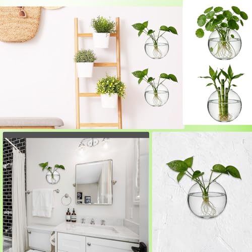8PCS Wall Mounted Vase, Glass Wall Vase Propagation Wallmount Hanging Planters for Hydroponics with Traceless Nails for Home Office Living Room