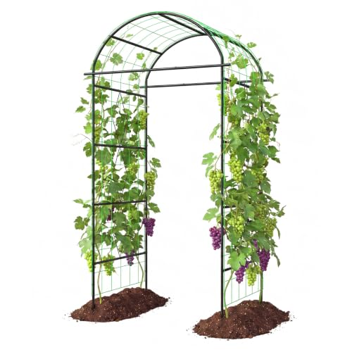 Garden Arch Trellis with Netting, Metal Garden Trellis for Climbing Plants