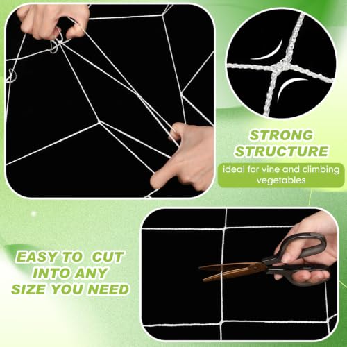 Berlune 6.5 x 2000 ft Trellis Netting Roll Heavy Duty Nylon Garden Trellis Netting with 6 Inch Mesh Soft Plant Support Net for Climbing Plants, Grape Racks, Growing Support Bean, Pea, Tomatoes - size: 6.5 x 2000 ft