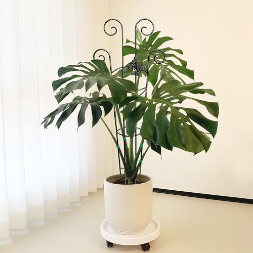Coomin 32.6in Monstera Plant Support Trellis with One Butterfly, 4P - size: 32in,butterfly/4p