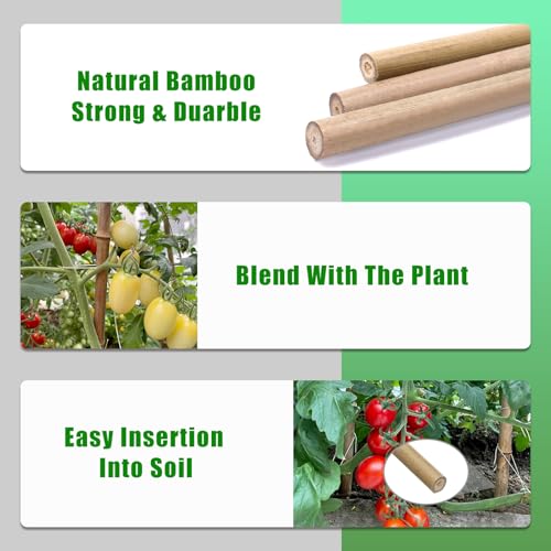 Bamboo Stakes,4.8Feet,50Pcs,Plant Bamboo Post,GUANGYE,Bamboo Garden Stakes - size: 4.8Ft,50Pack
