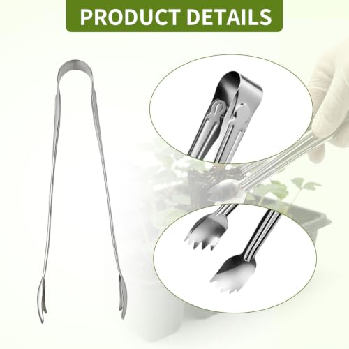 4Pcs Stainless Steel Seedling Gardening Tweezers & Clip, Long Thin Plant Transplanter for Succulent Bonsai Cactus, Seed Planting Tool for Indoor Outdoor Root Lowering Damage, Silver