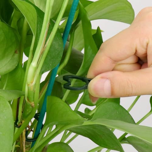 Hysagtek Plant Clips 200 Pcs Garden Clips Plant Support Clips for Climbing Plants Vine Fixing Clips for Plants Stem Support Tomatoes Cucumbers Flowers (L+M+S) - size: L+M+S