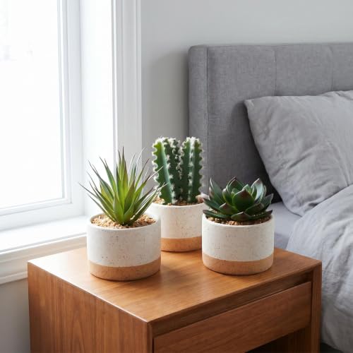 Artificial Succulent Cactus Plant Set Ceramic Flower Pot Set of 3 for Home, Office, Desk, Bedroom, Living Room Decoration